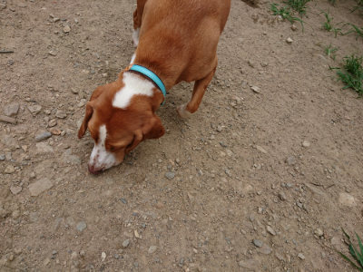 f:id:roukenhome-ann:20190803132254j:plain f:id:roukenhome-ann:20190803132254j:plain
