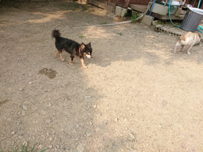 f:id:roukenhome-ann:20190803132633j:plain f:id:roukenhome-ann:20190803132633j:plain