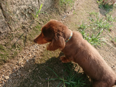 f:id:roukenhome-ann:20190803132733j:plain f:id:roukenhome-ann:20190803132733j:plain