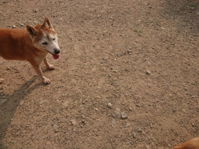 f:id:roukenhome-ann:20190803132937j:plain f:id:roukenhome-ann:20190803132937j:plain