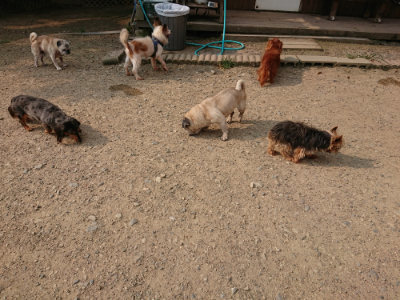 f:id:roukenhome-ann:20190803133119j:plain f:id:roukenhome-ann:20190803133119j:plain