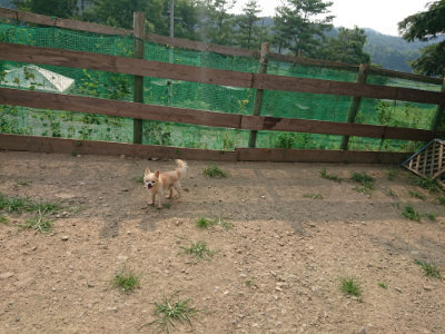 f:id:roukenhome-ann:20190803133216j:plain f:id:roukenhome-ann:20190803133216j:plain