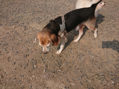 f:id:roukenhome-ann:20190803133541j:plain f:id:roukenhome-ann:20190803133541j:plain
