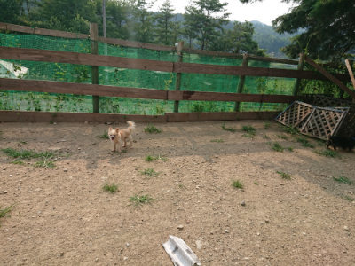 f:id:roukenhome-ann:20190803133639j:plain f:id:roukenhome-ann:20190803133639j:plain