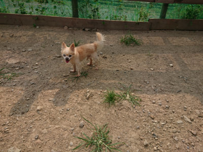 f:id:roukenhome-ann:20190803133820j:plain f:id:roukenhome-ann:20190803133820j:plain
