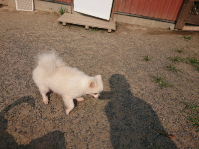 f:id:roukenhome-ann:20190803133922j:plain f:id:roukenhome-ann:20190803133922j:plain