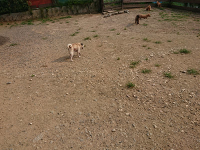 f:id:roukenhome-ann:20190803135932j:plain
