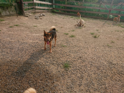f:id:roukenhome-ann:20190803135944j:plain
