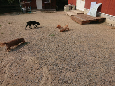 f:id:roukenhome-ann:20190803140009j:plain