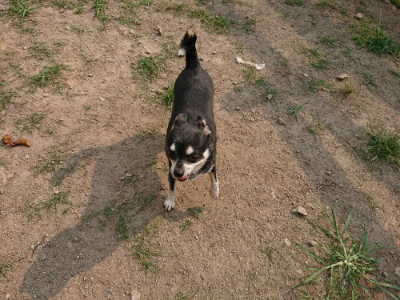 f:id:roukenhome-ann:20190803140015j:plain