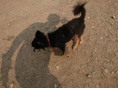 f:id:roukenhome-ann:20190803140243j:plain