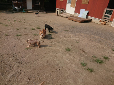 f:id:roukenhome-ann:20190803140256j:plain
