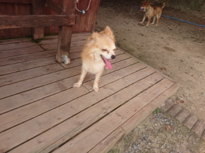 f:id:roukenhome-ann:20190803140412j:plain