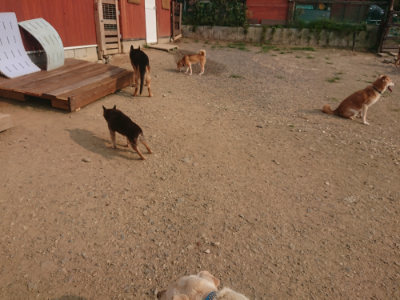 f:id:roukenhome-ann:20190803140435j:plain