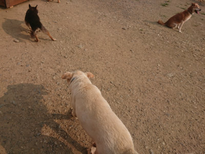 f:id:roukenhome-ann:20190803140440j:plain