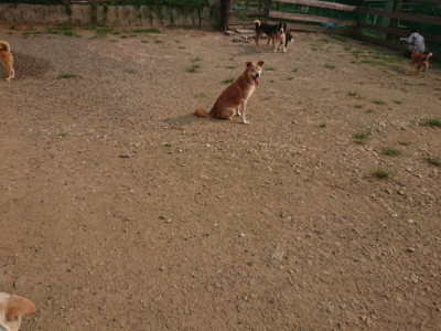 f:id:roukenhome-ann:20190803140455j:plain