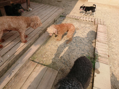 f:id:roukenhome-ann:20190803140601j:plain