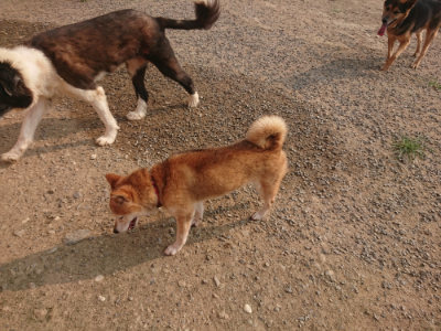 f:id:roukenhome-ann:20190803140608j:plain