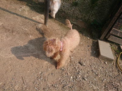 f:id:roukenhome-ann:20190803140800j:plain