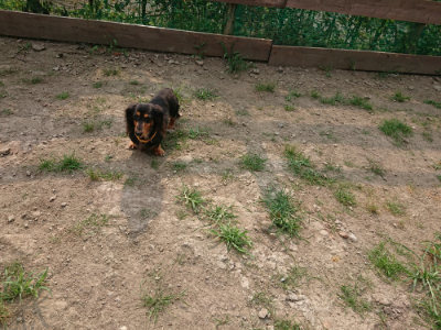 f:id:roukenhome-ann:20190803140910j:plain