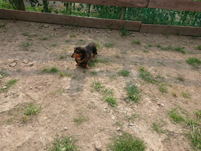 f:id:roukenhome-ann:20190803140932j:plain