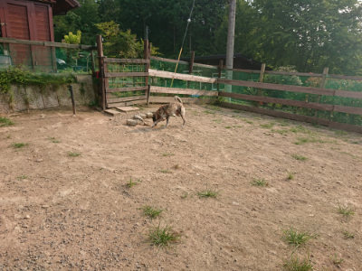 f:id:roukenhome-ann:20190803140940j:plain