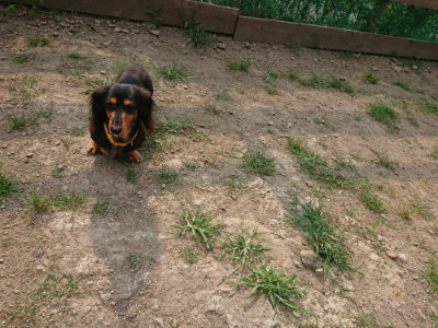 f:id:roukenhome-ann:20190803140948j:plain