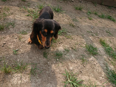 f:id:roukenhome-ann:20190803140955j:plain