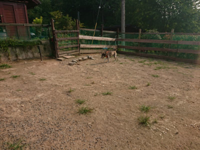f:id:roukenhome-ann:20190803141000j:plain