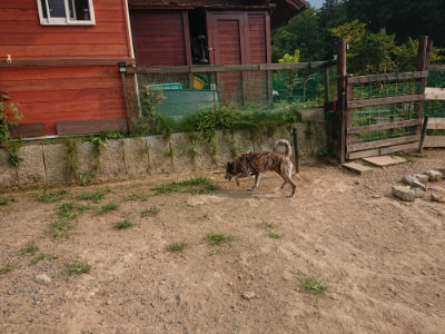 f:id:roukenhome-ann:20190803141016j:plain