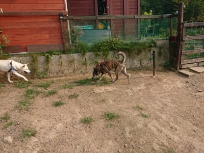 f:id:roukenhome-ann:20190803141022j:plain