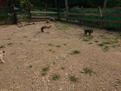 f:id:roukenhome-ann:20190803141048j:plain