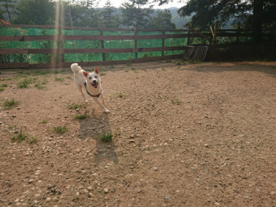 f:id:roukenhome-ann:20190803141100j:plain