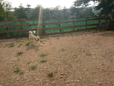 f:id:roukenhome-ann:20190803141114j:plain