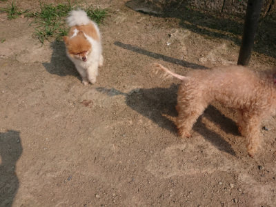 f:id:roukenhome-ann:20190803141120j:plain