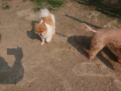 f:id:roukenhome-ann:20190803141129j:plain