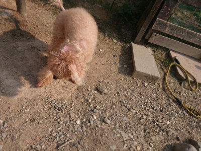 f:id:roukenhome-ann:20190803141328j:plain