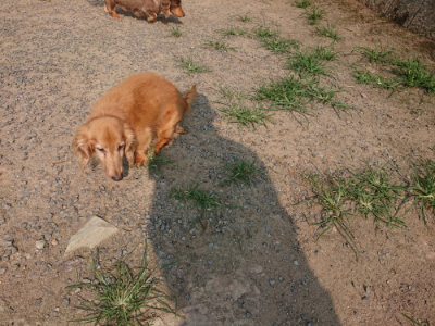f:id:roukenhome-ann:20190803141356j:plain