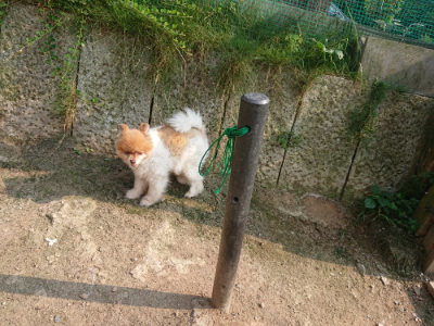 f:id:roukenhome-ann:20190803141402j:plain