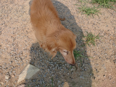 f:id:roukenhome-ann:20190803141427j:plain