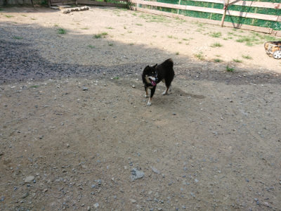 f:id:roukenhome-ann:20190803154220j:plain