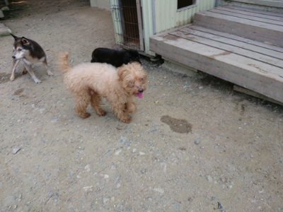 f:id:roukenhome-ann:20190803154227j:plain