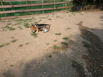 f:id:roukenhome-ann:20190803154526j:plain