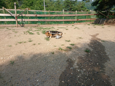 f:id:roukenhome-ann:20190803154704j:plain