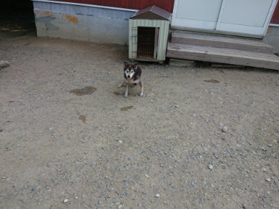 f:id:roukenhome-ann:20190803154725j:plain