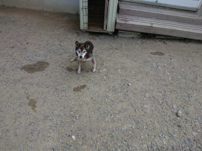 f:id:roukenhome-ann:20190803154734j:plain