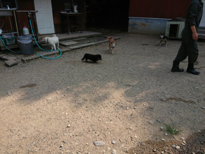 f:id:roukenhome-ann:20190803154757j:plain