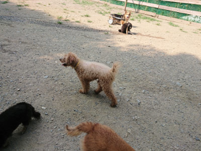 f:id:roukenhome-ann:20190803154837j:plain