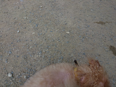 f:id:roukenhome-ann:20190803154953j:plain