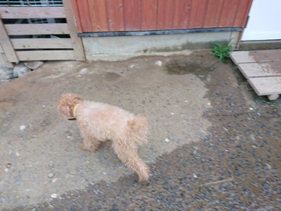 f:id:roukenhome-ann:20190803155050j:plain